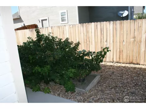 100 Arapaho St, Severance, CO 80550 photo 19