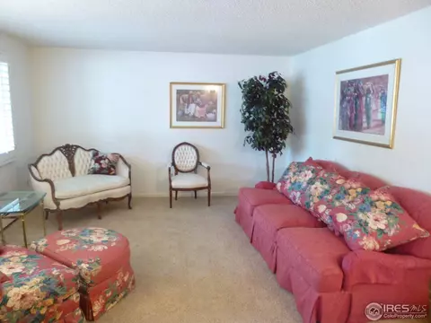 6972 Oak Way, Arvada, CO 80004 photo 9