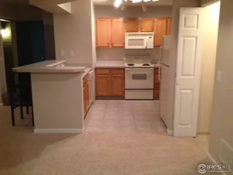 4545 Wheaton Dr #D-170, Fort Collins, CO 80525 photo 9