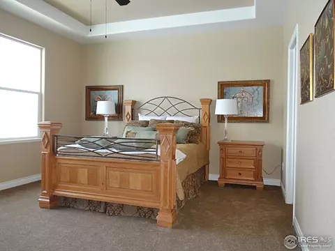 410 Double Tree Dr, Greeley, CO 80634 photo 14