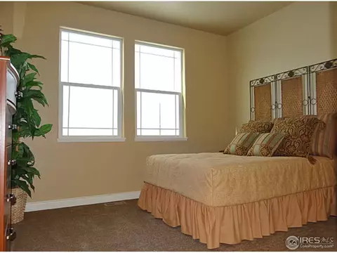 410 Double Tree Dr, Greeley, CO 80634 photo 21