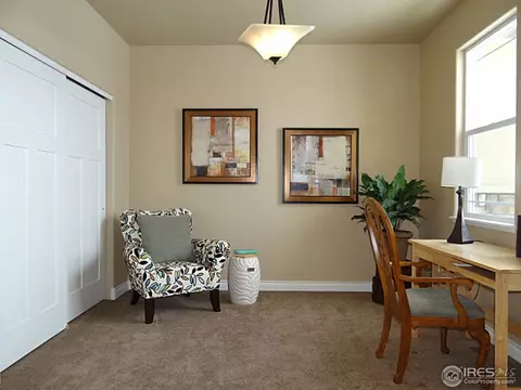 410 Double Tree Dr, Greeley, CO 80634 photo 19