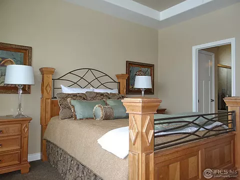 410 Double Tree Dr, Greeley, CO 80634 photo 15