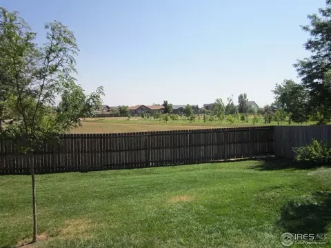 801 Columbine Dr, Windsor, CO 80550 photo 4
