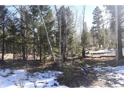 1885 Blacksmith Rd, Hartsel, CO 80449 photo 11