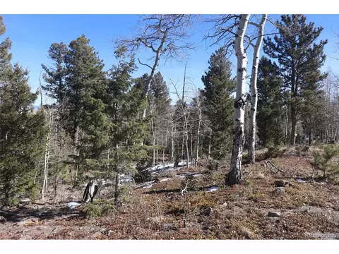 1885 Blacksmith Rd, Hartsel, CO 80449 photo 13