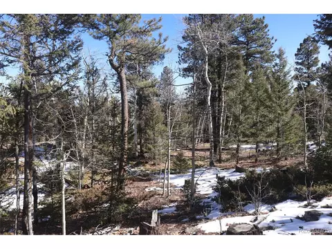 1885 Blacksmith Rd, Hartsel, CO 80449 photo 17