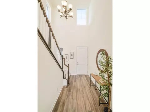 Entry Way - 98 Simmental Loop, Castle Rock, CO 80104 photo 3 of 4