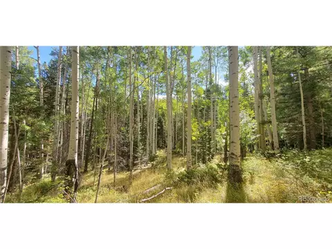 5174 Mo Rd, Fort Garland, CO 81133