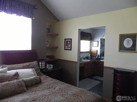 1202 Peak Ct, Windsor, CO 80550 photo 16
