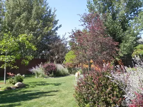 1202 Peak Ct, Windsor, CO 80550 photo 22