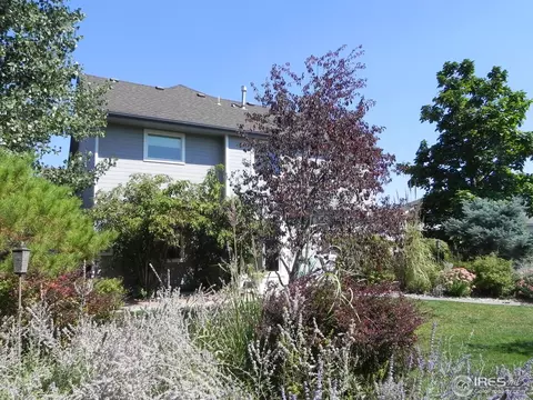 1202 Peak Ct, Windsor, CO 80550 photo 18
