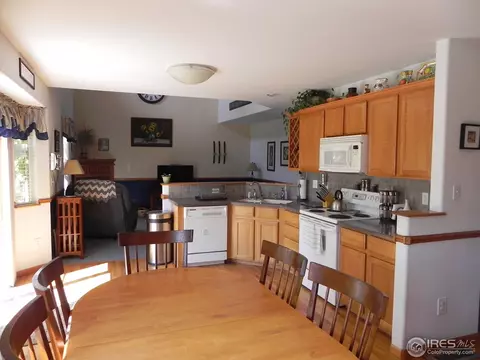 1202 Peak Ct, Windsor, CO 80550 photo 7