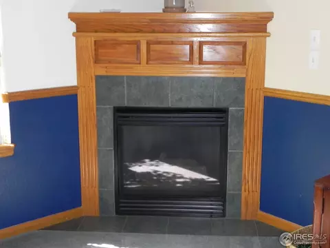 1202 Peak Ct, Windsor, CO 80550 photo 10