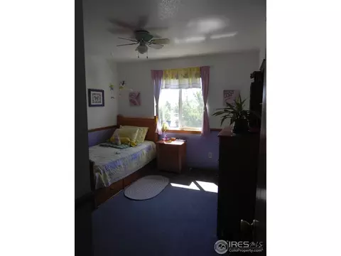 1202 Peak Ct, Windsor, CO 80550 photo 13