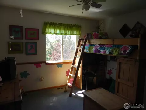 1202 Peak Ct, Windsor, CO 80550 photo 12