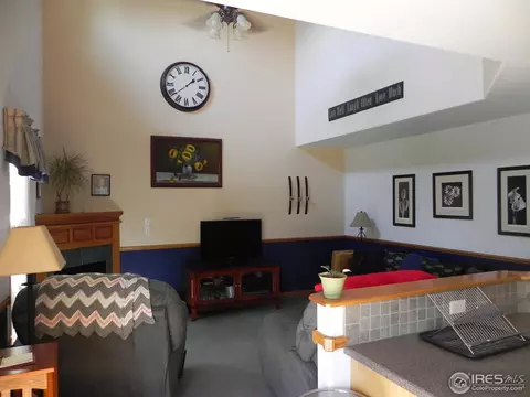 1202 Peak Ct, Windsor, CO 80550 photo 8
