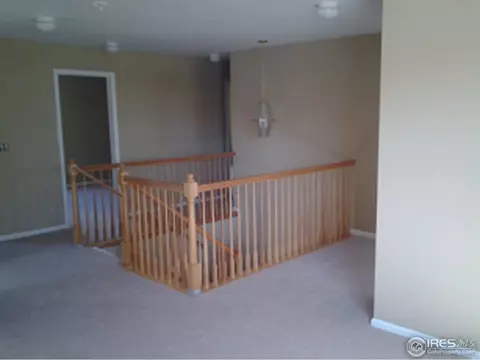 9733 Downing St, Thornton, CO 80229 photo 5