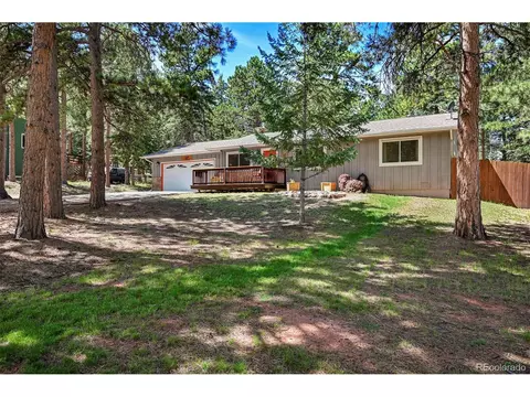 416 N Coraline St, Woodland Park, CO 80863