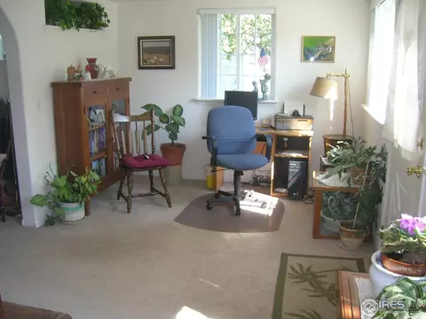 518 Walnut St, Windsor, CO 80550 photo 6