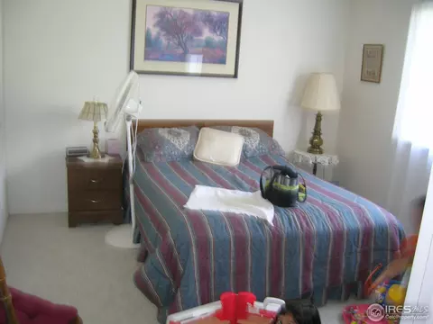 518 Walnut St, Windsor, CO 80550 photo 11