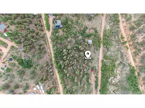 187 Ward St, Bailey, CO 80421 photo 16