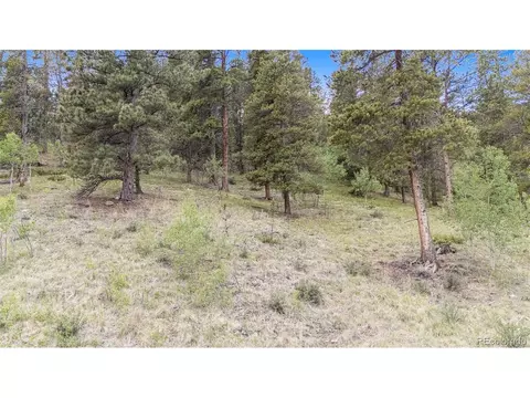 187 Ward St, Bailey, CO 80421 photo 2