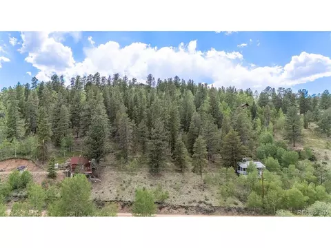 187 Ward St, Bailey, CO 80421