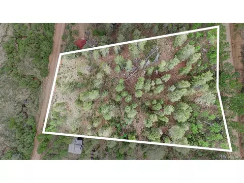 187 Ward St, Bailey, CO 80421 photo 15