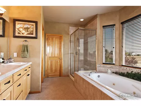 10160 E 148th Pl, Brighton, CO 80602 photo 8