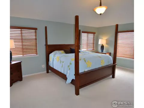 4826 Haystack Dr, Windsor, CO 80550 photo 18