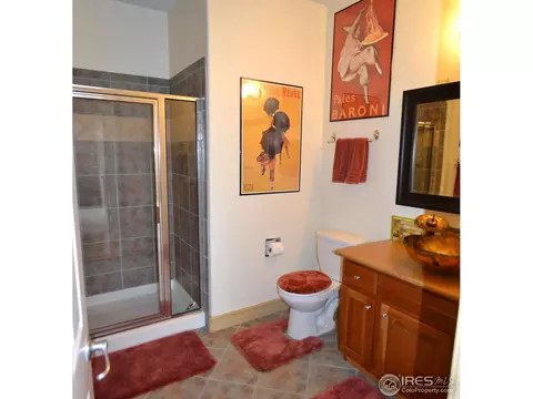 4826 Haystack Dr, Windsor, CO 80550 photo 14