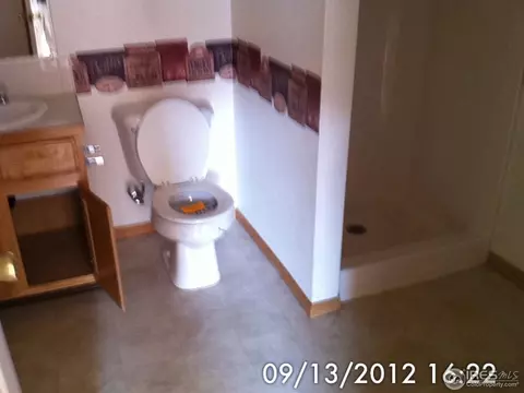 3317 Stirrup Ln, Evans, CO 80620 photo 4