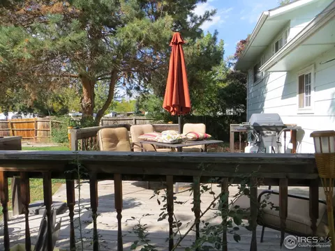 4329 Main St, Timnath, CO 80547 photo 10