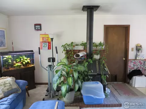 4329 Main St, Timnath, CO 80547 photo 3