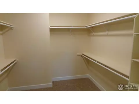 1505 Waterfront Dr, Windsor, CO 80550 photo 6