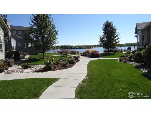1505 Waterfront Dr, Windsor, CO 80550 photo 9