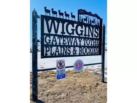 118 7th Ave, Wiggins, CO 80654 photo 22