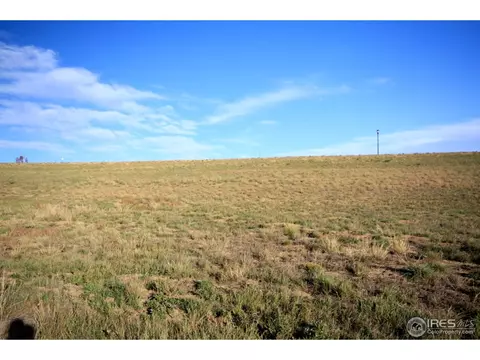 5971 Last Pointe Dr, Windsor, CO 80550 photo 3