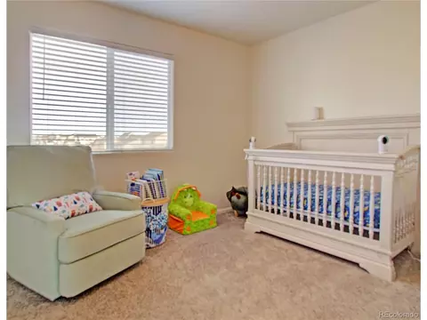 11950 Rodez Grv, Peyton, CO 80831 photo 17