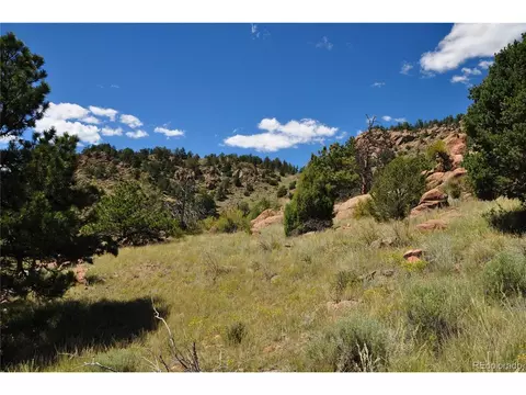 89 Sprucewood Cir, Florissant, CO 80816