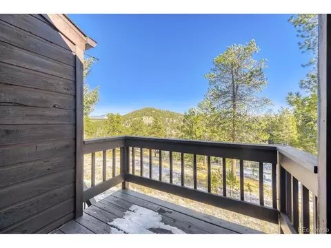 11 Old Corral Rd, Bailey, CO 80421 photo 13