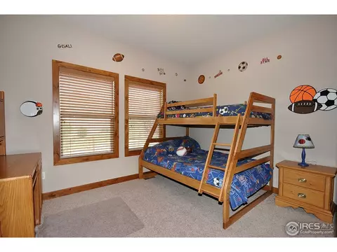 1425 Red Fox Cir, Severance, CO 80550 photo 15