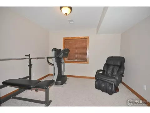 1425 Red Fox Cir, Severance, CO 80550 photo 24