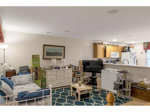9066 Apache Plume Dr #D, Parker, CO 80134 photo 7