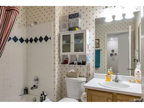 9066 Apache Plume Dr #D, Parker, CO 80134 photo 11