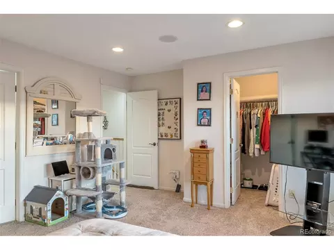 9066 Apache Plume Dr #D, Parker, CO 80134 photo 13