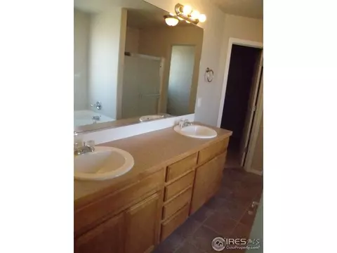 2048 Vineyard Ct, Windsor, CO 80550 photo 10