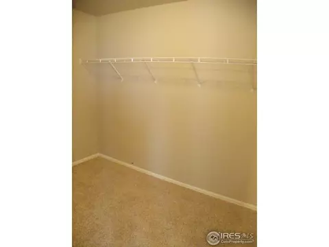 2048 Vineyard Ct, Windsor, CO 80550 photo 14