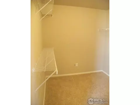 2048 Vineyard Ct, Windsor, CO 80550 photo 13
